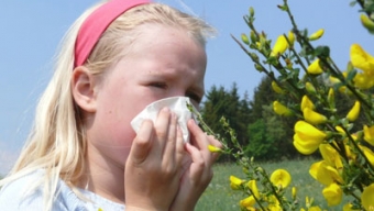 Il bollettino generale dei pollini: situazione in peggioramento per gli allergici!
