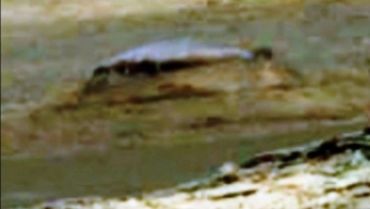 Misteriosa anomalia fotografata dal Rover Curiosity su Marte