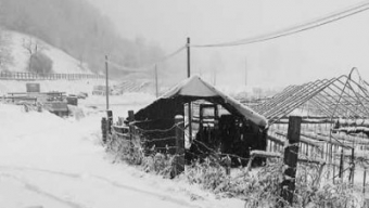 Inverno 1904-1905: 13 Dicembre 1904 La Cronaca del Maltempo, Pioggia, Tempeste, Inondazioni e Naufragi