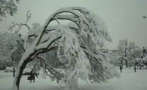 Epifania del 2009 sotto tanta neve, fino a 40 cm su Milano: le immagini