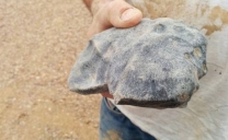Ritrovato in Australia un meteorite… vecchio come il Sistema Solare!!!