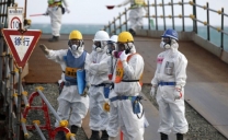 Per secoli dei secoli: il disastro di Fukushima provoca numerose “mutazioni genetiche”