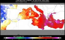 Acque del Mediterraneo molto calde