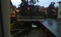 Fortissimi temporali a Bergamo e in tutta la provincia: alberi caduti, corrente saltata