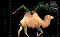 Previsioni Meteo, Maggio rovente: un cammello con due gobbe enormi porta il caldo estivo dal Sahara sull’Italia