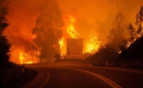 Incendi: brucia bosco vicino ad un paese nel foggiano, gente barricata in casa