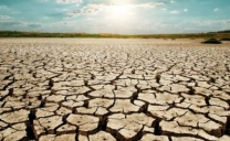 Nella Repubblica Ceca si sta verificando la più grave siccità da 500 anni.