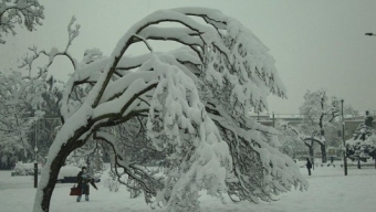 Epifania del 2009 sotto tanta neve, fino a 40 cm su Milano: le immagini