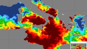 Contro l’afa più efficaci i mari del Nord Italia