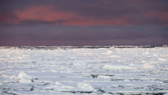 Ghiacciaio Groenlandia al collasso, mare può salire di 50 cm