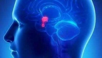 Scienziati scoprono il luogo dell’anima all’interno del cervello umano