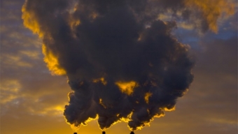 Nuovo rapporto dell’Oms, un morto su 4 al mondo è a causa dell’inquinamento ambientale