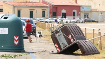 Maltempo: Pisa, tromba marina su litorale, scoperchiato asilo