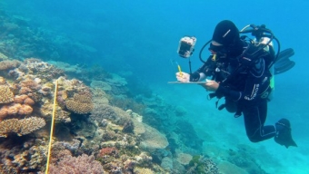 Clima, Australia: distrutto il 67% della Grande barriera corallina