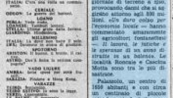 31 Agosto 1976 – forte grandinata a Trino Vercellese