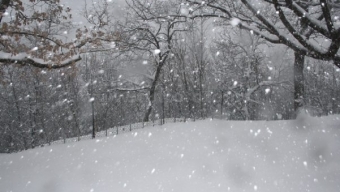 Nei prossimi tre giorni la neve potrebbe farsi vedere a quote molto basse su alcune regioni dell’Italia settentrionale.