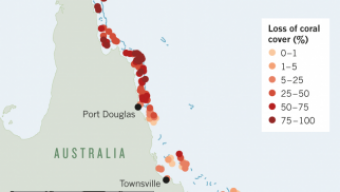 La Grande Barriera Corallina ha subito enormi perdite a partire dall’ondata di caldo del 2016.