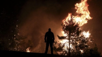Le foreste in Grecia e a Cipro stanno bruciando!