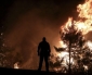 Le foreste in Grecia e a Cipro stanno bruciando!