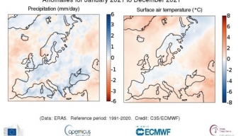 Anno  2021 in Europa: Anomalie Precipitazioni e Temperature