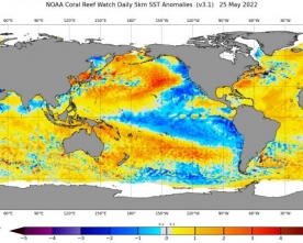 Oceani: Anomalie delle Temperature Superficiali