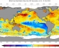 Anomalia della Temperatura degli Oceani (Ottobre 2022)