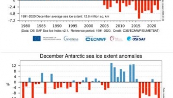Anomalie Estensione Ghiacci Polari Marini a Dicembre 2022