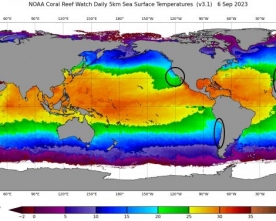 Correnti Oceaniche  Fredde e Clima