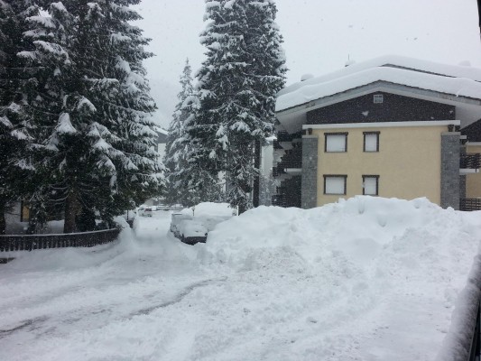 10959890_801276079907646_899722067453101800_o