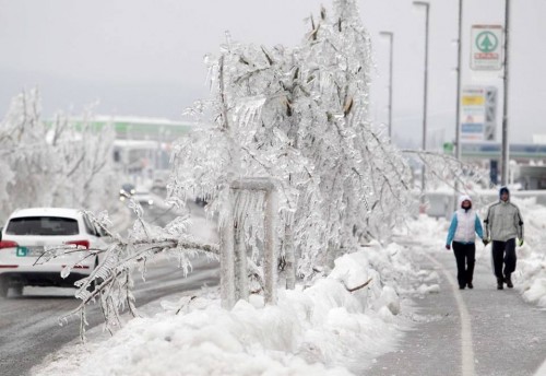 14-feb-15-slovenia5