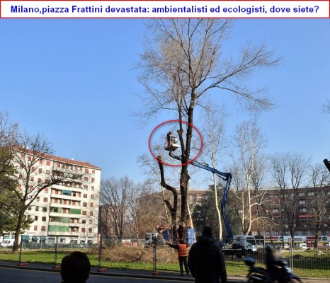 __069628___devastazione