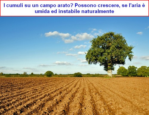 __070453___campo_arato