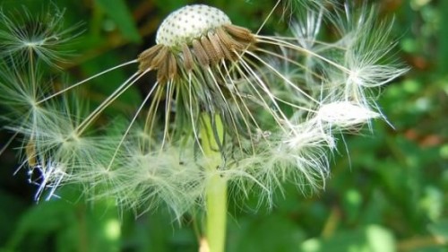 164638738-a94867d8-0e6f-4c8c-8898-5fbd70f0685e