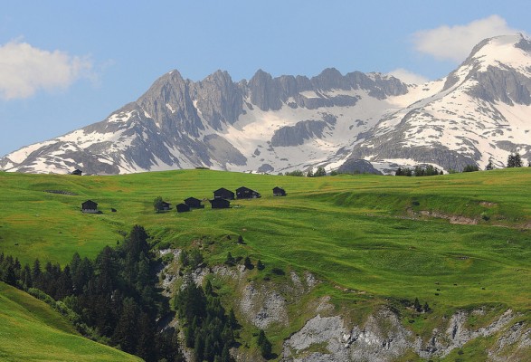 18525718660_0a3a3f6ac9_c