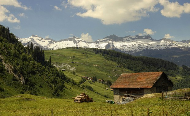 18532930956_d9df4c7ed8_c