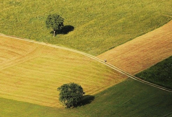 18604714306_67a95a2580_c