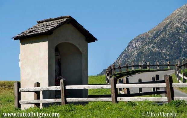 11728753_1231016333591043_4493518276837721576_o