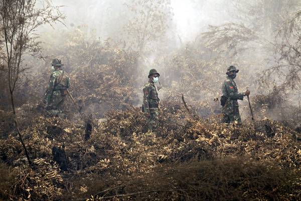 epa04946616 Indonesian Officers on burned peat land during Indonesian President, Joko Widodo, inspects their work of emergency services putting out forest fires in the village of Sakakajang,Jabiren, Pulang Pisau, Central Borneo, Indonesia, 24 September 2015. Accoridng to local officials Indonesian authorities have suspended the operations of four plantation companies over forest fires on Sumatra island. Police were questioning officials from two of the domestic companies for possible criminal prosecution, said Muhammad Yunus, Director for Enforcement at the Ministry of Forestry and the Environment, witht he penalty for causing pollution being up to five years in prison. Haze from forest fires on Sumatra and the Indonesian part of Borneo island is an annual hazard which authorities have blamed on the illegal practice of open burning by small farmers and plantation companies. burning by small farmers and plantation companies. EPA/BAGUS INDAHONO