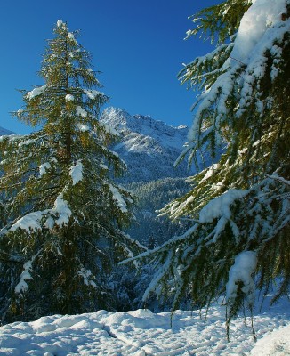 Neve-Alta-Valle-Brembana24