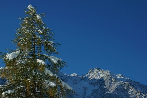 Neve-Alta-Valle-Brembana26
