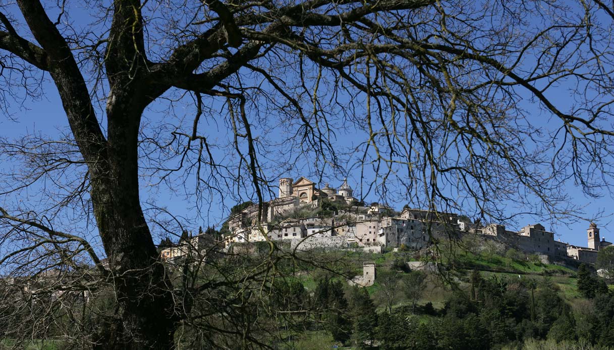 01_amelia-ph-a-boccalini