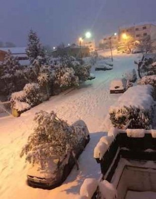 Cosenza-Neve-19-Gennaio-2016-9-329x420