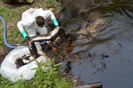 Continuano i lavori sia sul torrente sia alla foce del Polcevera per rimuovere le parti inquinate e creare nuove barriere di panne assorbenti, dove domenica si è verificato un importante sversamento di greggio, Genova, 21 aprile 2016. ANSA/LUCA ZENNARO