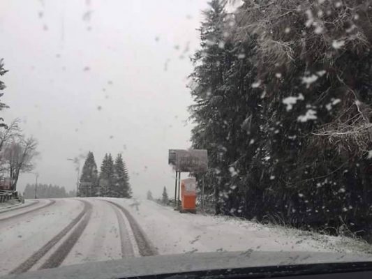 13173652_265177213869801_2376797351186368459_n