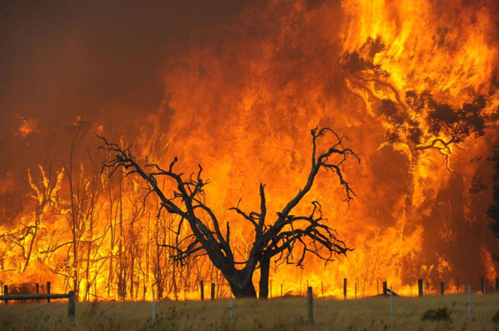 incendio-1