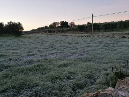 ostuni