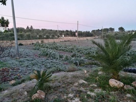 ostuni1