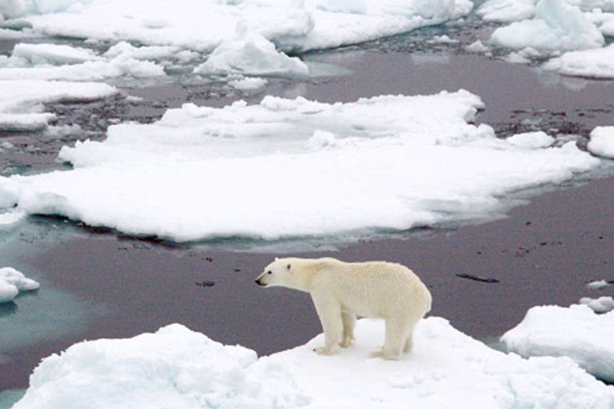 Meteo Racconto terrificante della Piccola Era