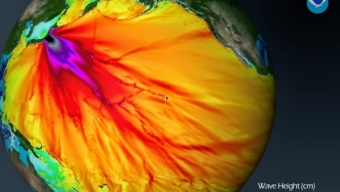 Disastro di Fukushima: aumentano le Radiazioni davanti alle coste del Nord America