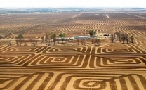 Agricoltore Australiano combatte l’erosione del suolo arando la terra con Disegni Geometrici